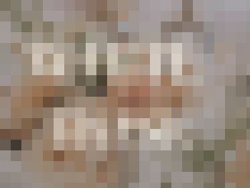 WHITE ROSE 清〇純〇 Part.1〜Part.5 デジタル画像集(394枚)