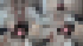 1508818 18歳の黒髪美少女ふみちゃんに、人生初体験のおもちゃで大人の階段のぼってもらいました??