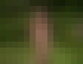 【動画】諏訪野しおり　君はキラリ