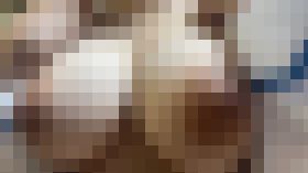 4317941 【初々しいHcup素人レイヤー】はじめての3P×2回戦！あ〇ぎり高〇大代〇白、白おぱんつ＆黒おぱんつでパイズリ中出し計4発射