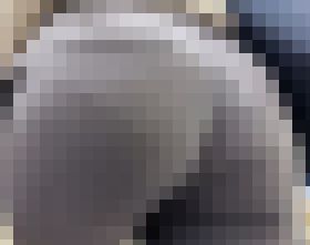 歩行記録0084「ぷりケツPライン丸出しOL(ショート詰め合わせ5名)」