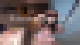 見てもいいけど見るだけだからね。。何も聞かないで。。。