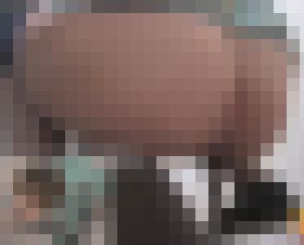 どんどん溜まるうんこが流れない!!!part④