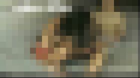 知られざる裸族の日常ドキュメンタリー1