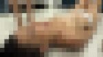 【女同士】ボス女にいじめられて奴隷のように、、、part2