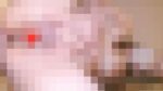 母乳人妻潮吹きオナ配信3