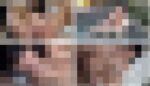 とあるJDの性長記録11/12