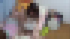 盗撮で恐縮です5