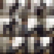 斜め前から失礼しま?す７名