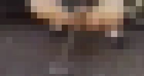 うんこおしっこするのに場所なんて私たちには関係ないのです?どこでも出ちゃいます?