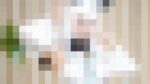 白◯フブちゃん中出しキングダム