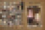 『女神達のSファイル』〜 糞尿豚便器完食編 Folder.01