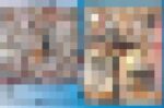 畜奴の品格・・・残酷セレブ美人御調教サークル〜鞭馬編