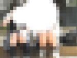 （ＦＨＤ）大変です！！パンツが見えてますよ特別編１２