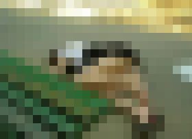 限界を超えて飲んでしまった美女たち　フェチマニアシリーズ　その１６