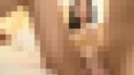 壇蜜さんありがとう