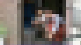 劇場映画名作集