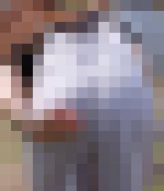 今回は彼女奥様、街撮りのスケスケ大特集 フェチマニアシリーズ　その５０