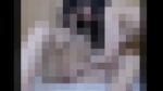 純愛レズビアンたちの前戯