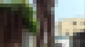 剛毛な貴方をそれでも愛したい