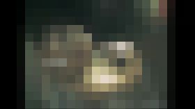 海の家へようこそ