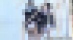JK悪ノリ放尿映像！5