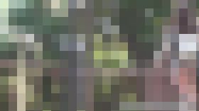 気になるあの子を追いかけたら天国をみることが出来ました