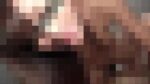 清楚系ビッチの中出しセックス
